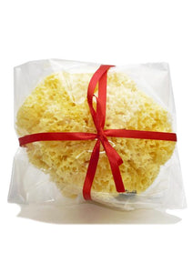 St James Shaving Emporium bleached natural honeycomb sea sponge large